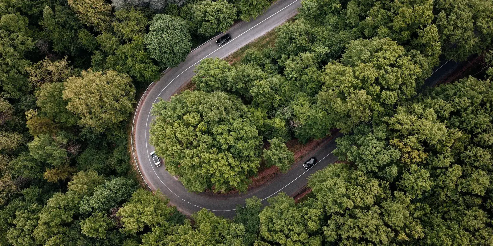 Aerial view of a road winding through green forest